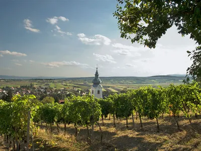 Weitblick von der Helenenhöhe über Bad Vöslau